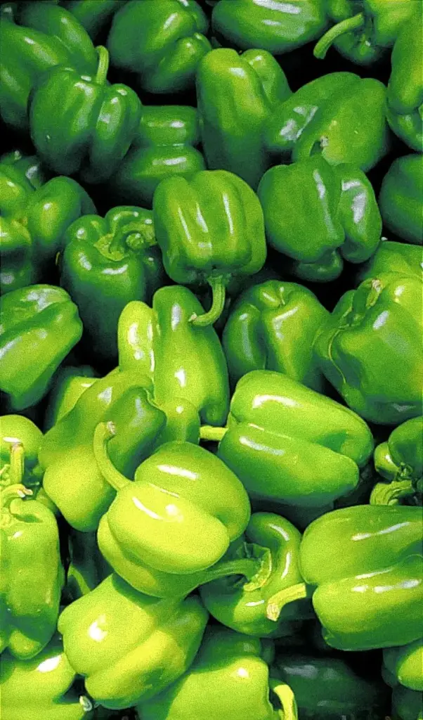 Capsicum Green