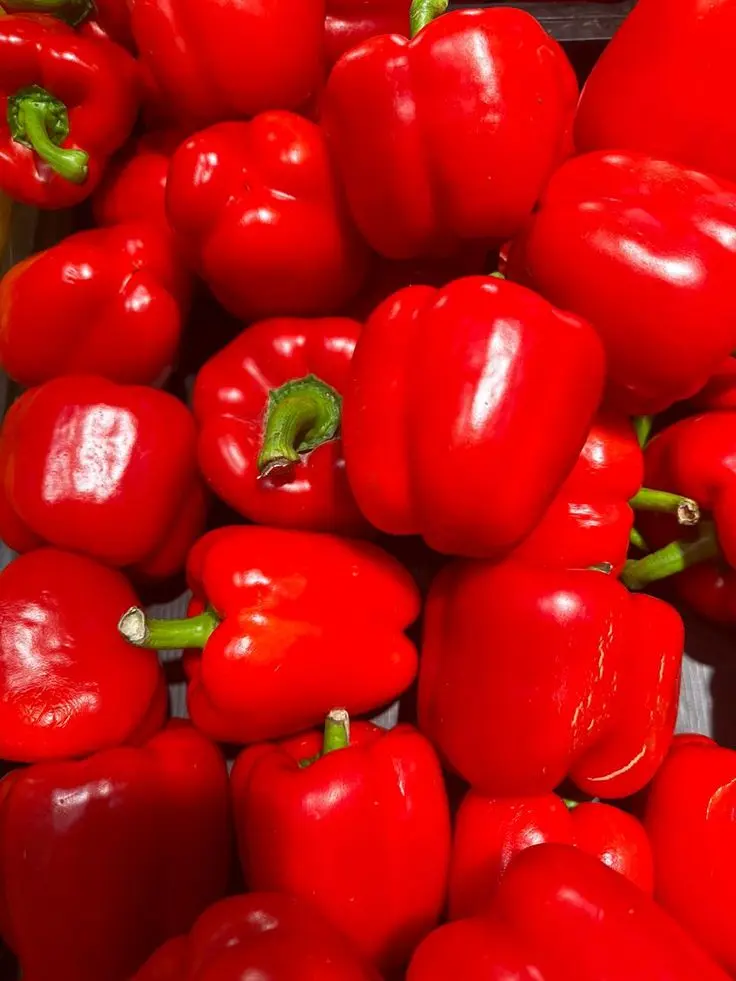 Capsicum Red