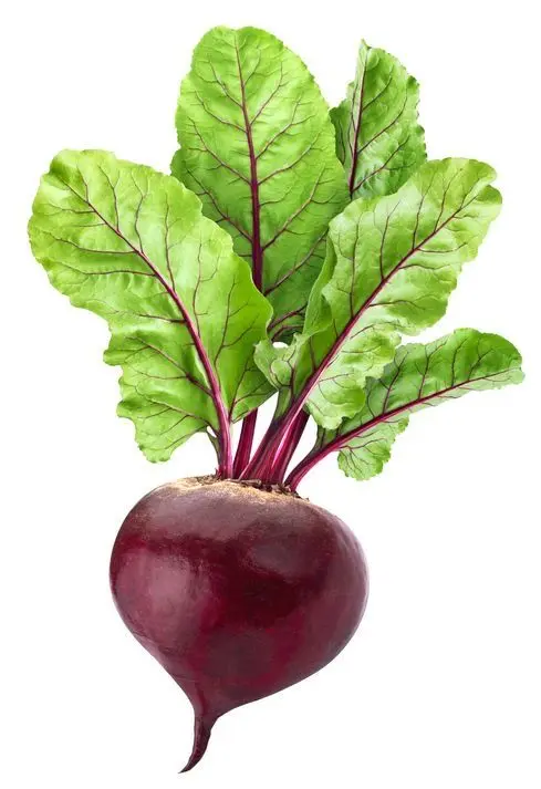 Beetroot